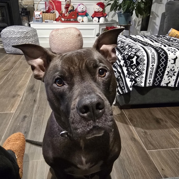 (Bookmark Me Here)-Meet your Posher, Sandy🙋‍♀️ - Picture 14 of 16